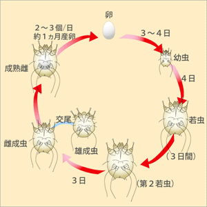 写真:図02