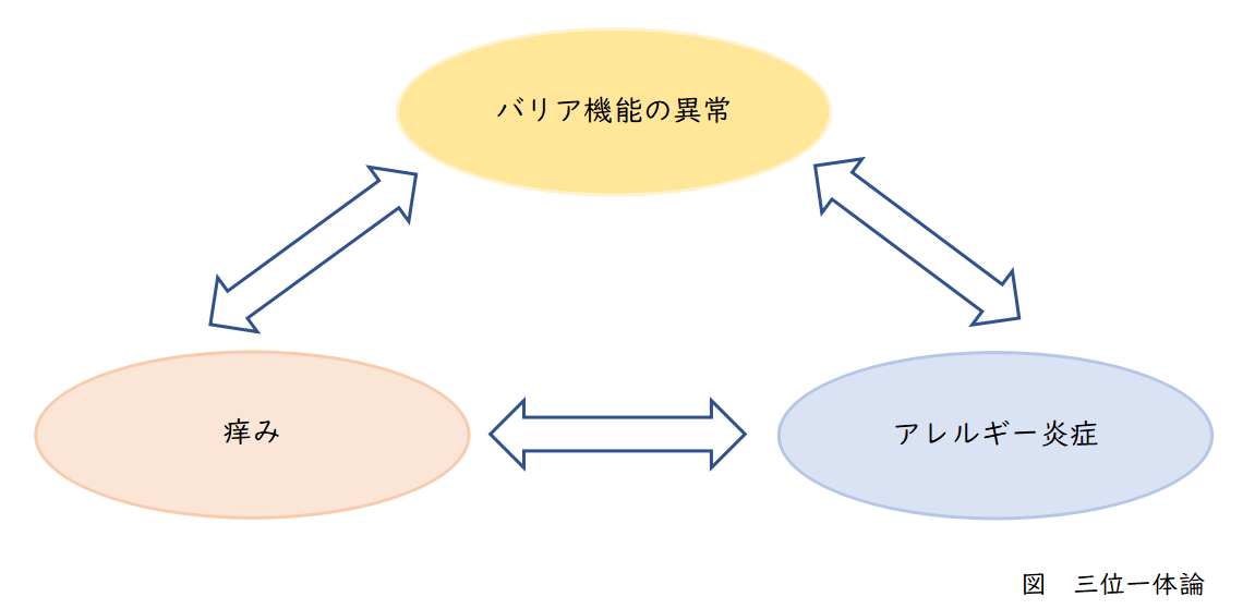 アトピー性皮膚炎・三位一体論